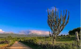 Imagem: Vendo 70 tarefas em Iaçu/BA