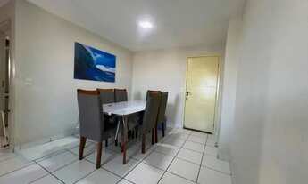 Imagem 7: Sun Family na Abel Cabral