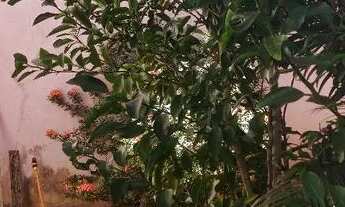 Imagem 2: Casa germinada Casa com 3 dormitórios