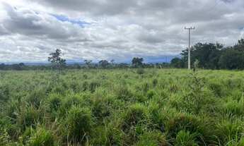 Imagem 6: Fazenda c/ 277he, 140he formados, Agua Fria, Chapada dos Guimarães-MT