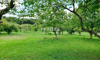 Imagem: TERRENO EM GRAMADO