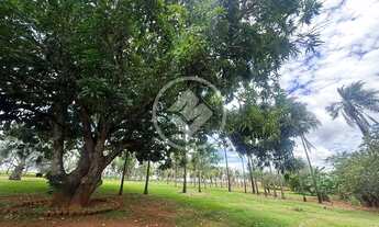 Imagem 7: Hidrolândia - Sitio de 4,17 Alqueires codigo: 161721