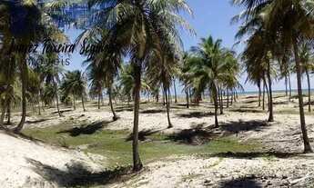 Imagem 5: Terreno no Litoral Norte Baiano com 177 hectares e a 750 metros frente de praia!