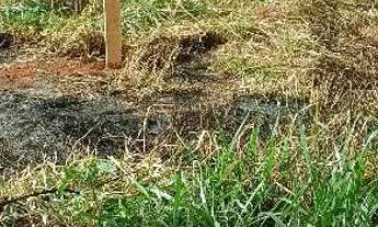 Imagem 7: Excelente Lote de Esquina para Morar Investir Alugar Comercial