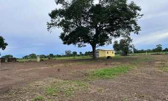 Imagem 2: Fazenda a venda, em Flores de Goiás- GO