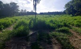 Imagem 5: Fazenda Goias velho 13,1 alqueires