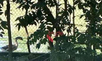 Imagem 3: Terreno à Venda em Condomínio Fechado no Bairro Reserva Santa Luisa em Ribeirão Preto em F