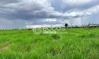 Imagem 2: Terreno à venda, Jardim Sul - Uberlândia/MG