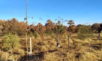 Imagem 5: Chácara com 1 dormitório à venda, 21600 m² por R$ 368.000,00 - Uberlândia - Prata - Uberlâ