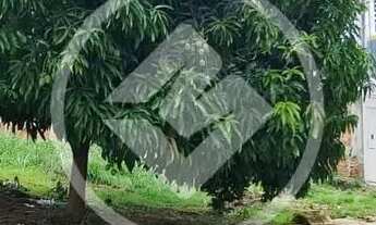 Imagem 3: Lote a venda codigo: 97333