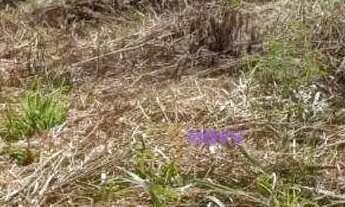 Imagem 4: Terreno à venda, 450 m² por R$ 550.000,00 - Maravista - Niterói/RJ