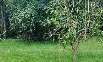 Imagem 5: Hácara venda tem 110 metros quadrados com 3 quartos em Zona Rural - Itapuranga - GO