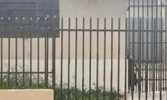 Imagem 2: Imóvel para aluguel tem 130 metros quadrados com 3 quartos em Parque Avenida - Maringá - P