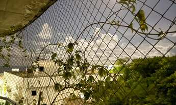 Imagem 5: Lindo Apartamento de 2/4 Vista Mar - Pacheco