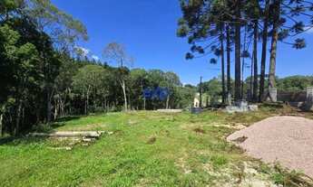 Imagem 5: RIBEIRAO GRANDE CHACARA COM CACHOEIRA