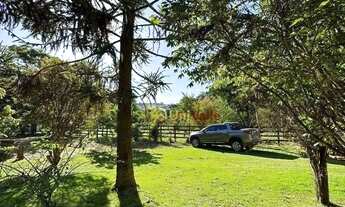 Imagem: Chácara com 3 dormitórios à venda, 4200