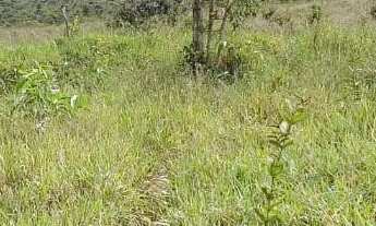 Imagem 6: VENDO 4 ALQUEIRES RURAL