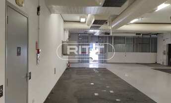 Imagem 6: Para locação, Bonfim, Campinas, SP