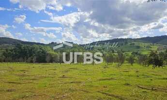 Imagem 7: Fazenda em Campo Limpo de Goiás - Anápolis
