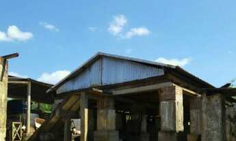 Imagem 2: Fazenda Fazenda / sítio com venda por R$300.000