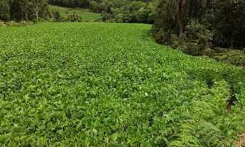 Imagem 6: Chácara 22.000m2 Campo Largo Curitiba