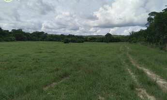Imagem 4: FAZENDA EM CONCEIÇÃO DO TOCANTINS - TO - 968 HECTARES (DUPLA APTIDÃO