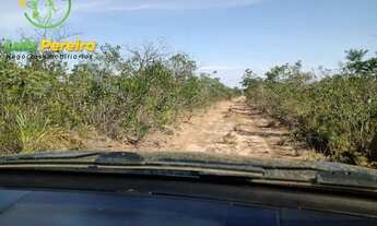 Imagem 3: FAZENDA Á VENDA EM SÃO DESIDÉRIO - BA - DE 10.204 HECTARES (Lavoura