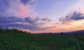 Imagem 6: Chácara 4 alqueires