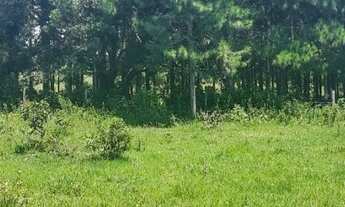 Imagem 4: TERRENO RESIDENCIAL em Garopaba - SC, Campo Duna