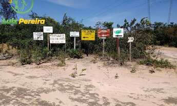 Imagem 6: FAZENDA Á VENDA EM SÃO DESIDÉRIO - BA - DE 10.204 HECTARES (Lavoura