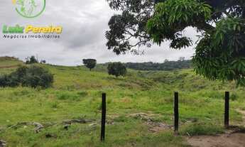 Imagem 3: FAZENDA À VENDA EM JACUNDA - PA - 1.258,4 HECTARES (DUPLA APTIDÃO