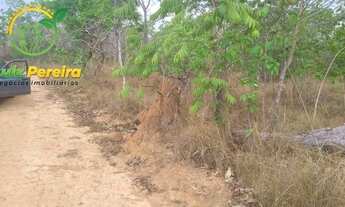Imagem 4: FAZENDA À VENDA EM SÃO VALÉRIO -TO - 1.026 HEC (EXCELENTE PARA AGRICULTURA