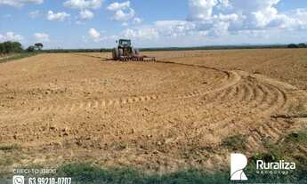 Imagem 2: Fazenda em Taipas do Tocantins TO