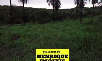 Imagem 7: Fazenda no Vale do Araguaia no Tocantins