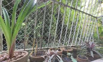 Imagem 4: APARTAMENTO SALA E QUARTO VENDA LARANJEIRAS