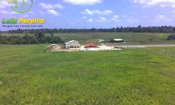 Imagem 4: FAZENDA À VENDA EM TAILÂNDIA - PA - 1.694 HEC /LAVOURA DE SOJA