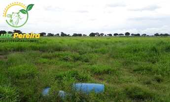 Imagem 6: FAZENDA À VENDA EM MARIANÓPOLIS - TO- DE 484 HECTARES (DUPLA APTIDÃO