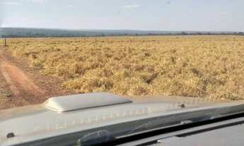 Imagem: FAZENDA À VENDA EM GUARAÍ, TO - 2.638