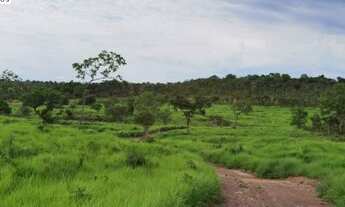 Imagem 7: FAZENDA À VENDA EM PARANÃ - TO - 871,2 HECTARES