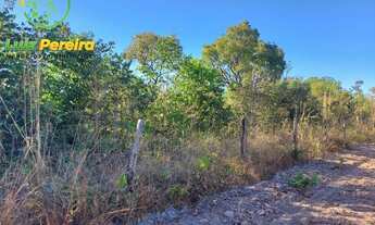 Imagem 5: FAZENDA À VENDA NO VALE DO ARAGUAIA - TO - 711,48 HECTARES (DUPLA APTIDÃO