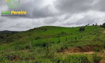 Imagem 4: FAZENDA À VENDA EM JACUNDA - PA - 1.258,4 HECTARES (DUPLA APTIDÃO