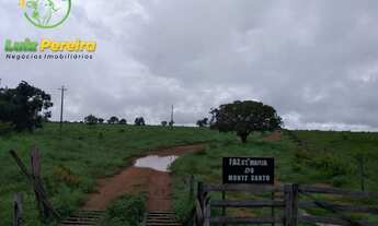 Imagem 2: FAZENDA À VENDA EM SÃO VALÉRIO -TO - 1.026 HEC (EXCELENTE PARA AGRICULTURA