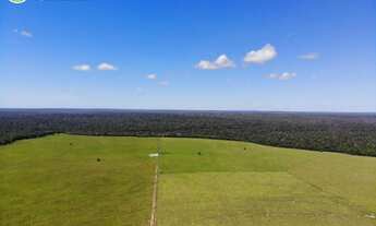 Imagem 7: FAZENDA Á VENDA NA REGIÃO DE ARAGUAÍNA- TO -17.352 HECTARES (DUPLA APTIDÃO