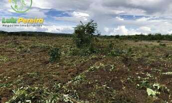Imagem 4: FAZENDA À VENDA EM DOIS IRMÃOS - TO - 590.48 HECTARES (DUPLA APTIDÃO