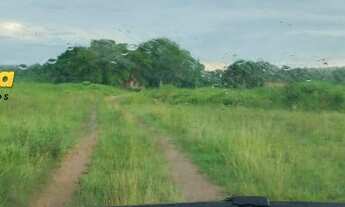 Imagem 2: FAZENDA À VENDA EM DOIS IRMÃOS - TO - 590.48 HECTARES (DUPLA APTIDÃO