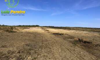 Imagem 7: FAZENDA À VENDA EM DOIS IRMÃOS - TO - 590.48 HECTARES (DUPLA APTIDÃO