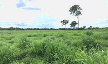 Imagem: Fazenda de 2.414 alqueires em Flores Goias