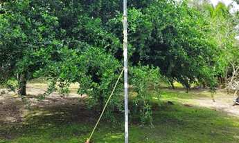 Imagem 7: Aluguel casa em Gravatá: Finais de semana, mês, Semana Santa Mês de Junho já locado