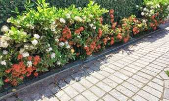 Imagem 2: Barequeçaba. 300m do mar. super conservada