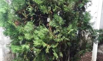 Imagem 6: Casa/Poço Casa com 3 dormitórios